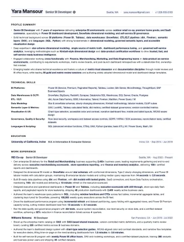 BI Developer resume template preview
