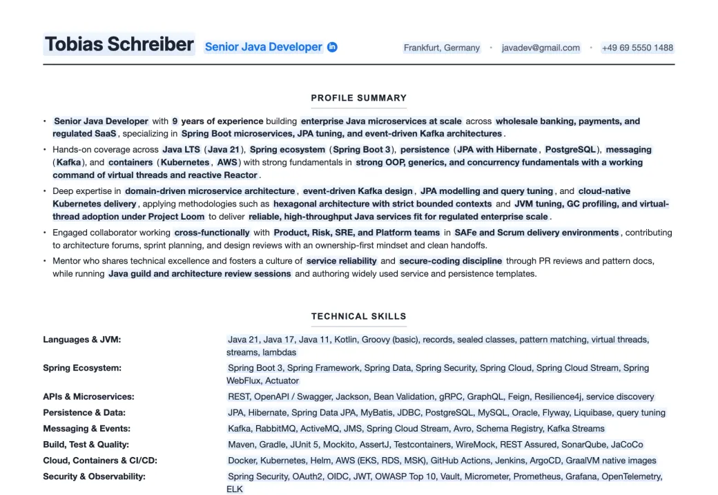 The Java Developer resume template, filled in: profile summary and technical skills with the editable placeholders highlighted