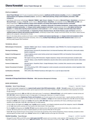 Project Manager resume template preview