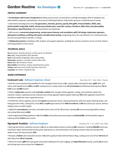 Go Developer resume example