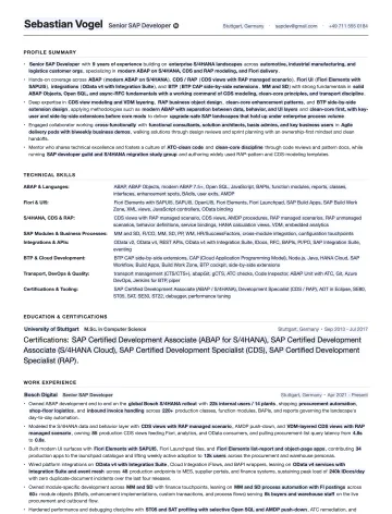 SAP Developer resume template preview